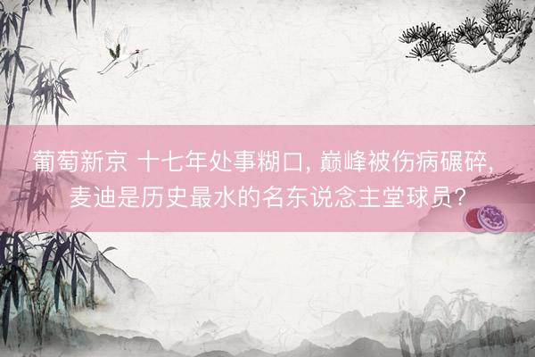 葡萄新京 十七年处事糊口, 巅峰被伤病碾碎, 麦迪是历史最水的名东说念主堂球员?