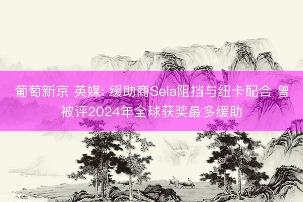 葡萄新京 英媒: 缓助商Sela阻挡与纽卡配合 曾被评2024年全球获奖最多缓助