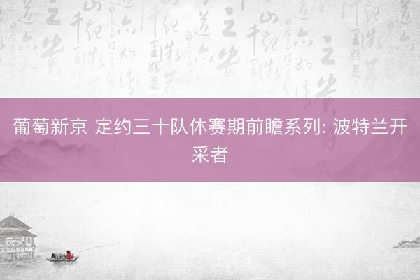 葡萄新京 定约三十队休赛期前瞻系列: 波特兰开采者