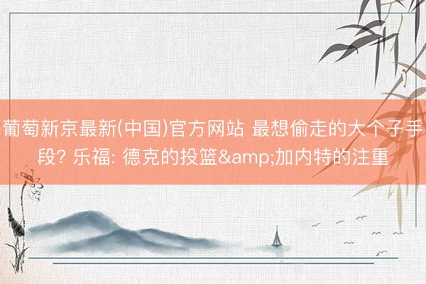 葡萄新京最新(中国)官方网站 最想偷走的大个子手段? 乐福: 德克的投篮&加内特的注重