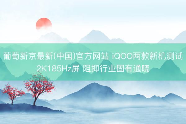 葡萄新京最新(中国)官方网站 iQOO两款新机测试2K185Hz屏 阻抑行业固有通晓