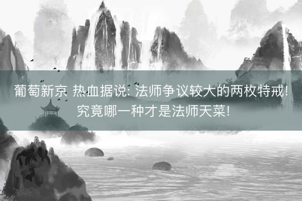 葡萄新京 热血据说: 法师争议较大的两枚特戒! 究竟哪一种才是法师天菜!