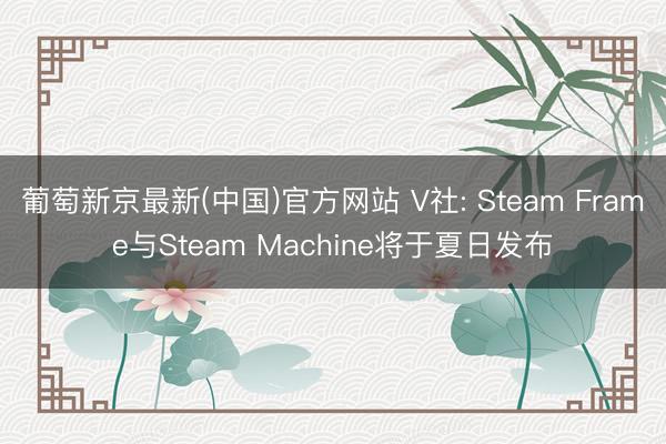葡萄新京最新(中国)官方网站 V社: Steam Frame与Steam Machine将于夏日发布