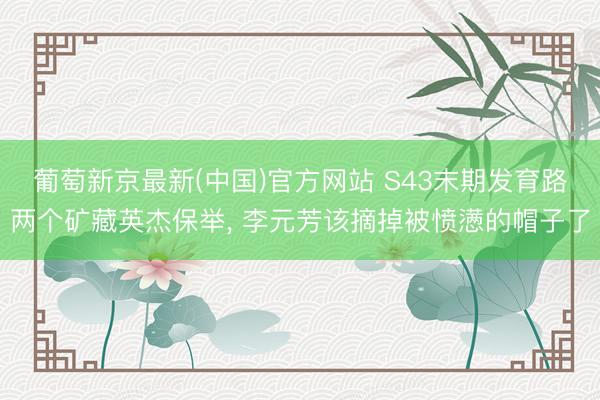葡萄新京最新(中国)官方网站 S43末期发育路两个矿藏英杰保举, 李元芳该摘掉被愤懑的帽子了