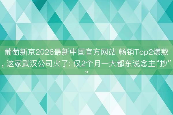葡萄新京2026最新中国官方网站 畅销Top2爆款， 这家武汉公司火了: 仅2个月一大都东说念主“抄”