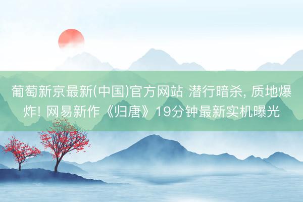 葡萄新京最新(中国)官方网站 潜行暗杀, 质地爆炸! 网易新作《归唐》19分钟最新实机曝光