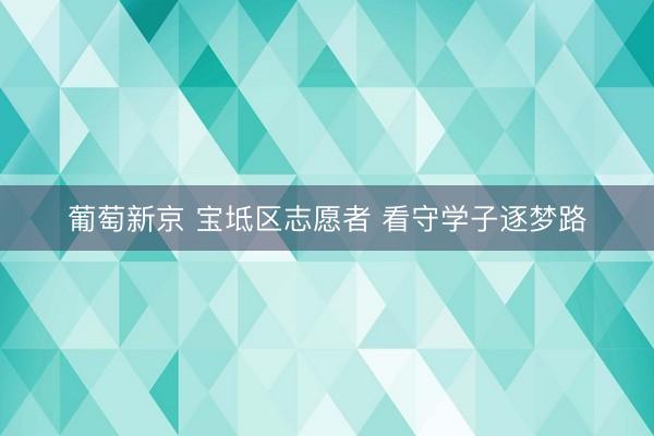 葡萄新京 宝坻区志愿者 看守学子逐梦路