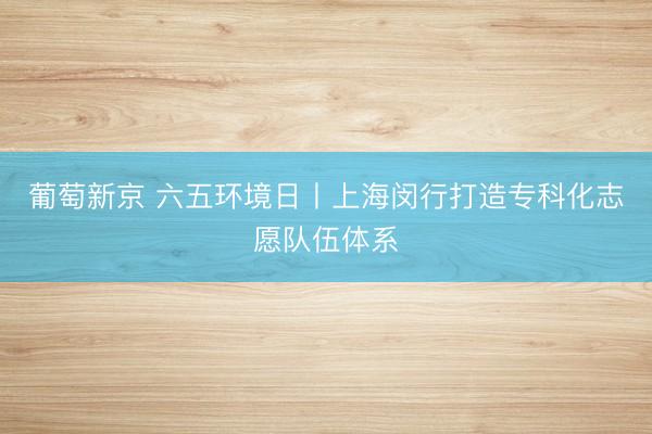 葡萄新京 六五环境日丨上海闵行打造专科化志愿队伍体系
