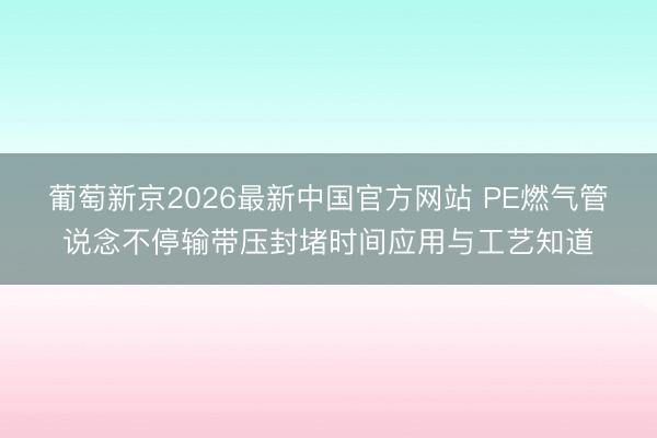 葡萄新京2026最新中国官方网站 PE燃气管说念不停输带压封堵时间应用与工艺知道