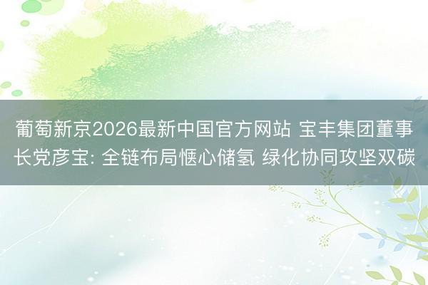 葡萄新京2026最新中国官方网站 宝丰集团董事长党彦宝: 全链布局惬心储氢 绿化协同攻坚双碳