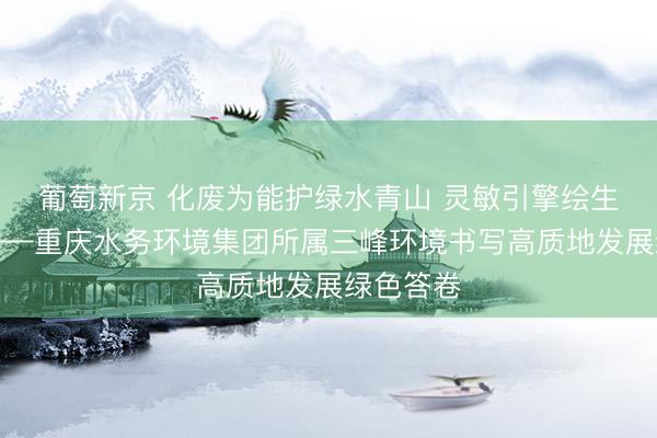 葡萄新京 化废为能护绿水青山 灵敏引擎绘生态新卷——重庆水务环境集团所属三峰环境书写高质地发展绿色答卷