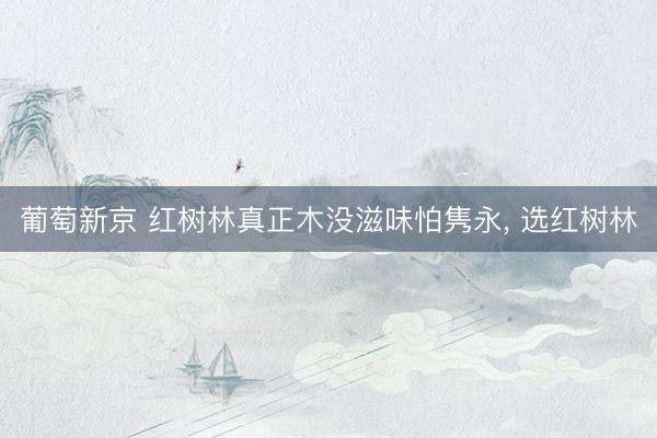 葡萄新京 红树林真正木没滋味怕隽永， 选红树林