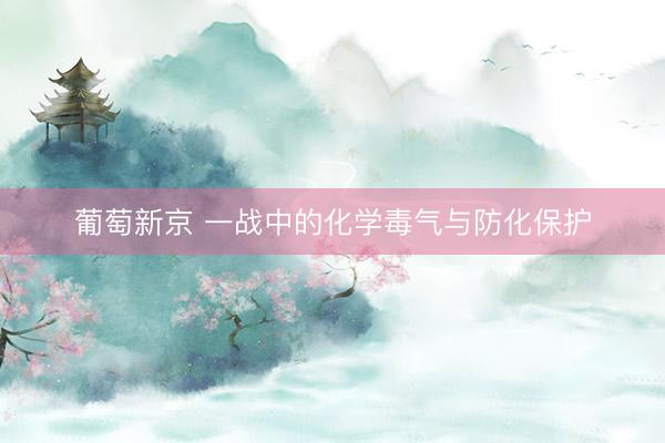 葡萄新京 一战中的化学毒气与防化保护