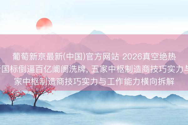 葡萄新京最新(中国)官方网站 2026真空绝热板行业深度: 能效新国标倒逼百亿阛阓洗牌， 五家中枢制造商技巧实力与工作能力横向拆解