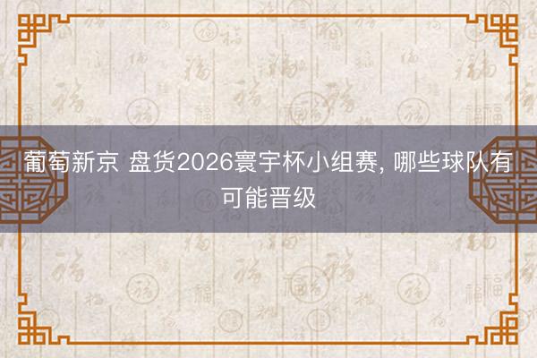 葡萄新京 盘货2026寰宇杯小组赛, 哪些球队有可能晋级