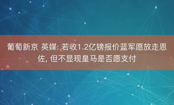 葡萄新京 英媒: 若收1.2亿镑报价蓝军愿放走恩佐， 但不显现皇马是否愿支付