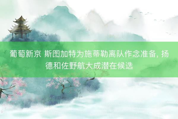 葡萄新京 斯图加特为施蒂勒离队作念准备， 扬德和佐野航大成潜在候选