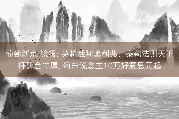 葡萄新京 镜报: 英超裁判奥利弗、泰勒法则天下杯酬金丰厚, 每东说念主10万好意思元起
