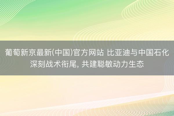 葡萄新京最新(中国)官方网站 比亚迪与中国石化深刻战术衔尾， 共建聪敏动力生态