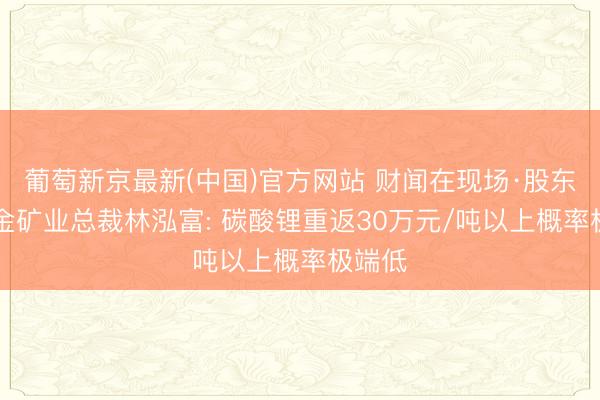 葡萄新京最新(中国)官方网站 财闻在现场·股东会|紫金矿业总裁林泓富: 碳酸锂重返30万元/吨以上概率极端低