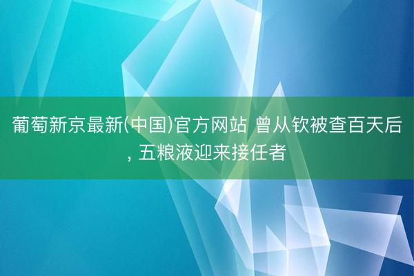葡萄新京最新(中国)官方网站 曾从钦被查百天后， 五粮液迎来接任者