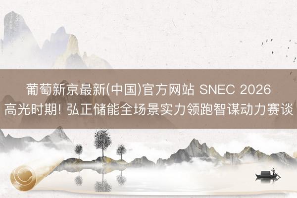 葡萄新京最新(中国)官方网站 SNEC 2026高光时期! 弘正储能全场景实力领跑智谋动力赛谈
