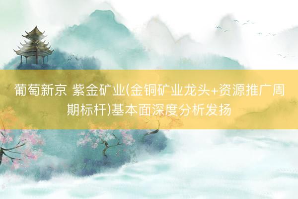 葡萄新京 紫金矿业(金铜矿业龙头+资源推广周期标杆)基本面深度分析发扬