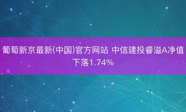 葡萄新京最新(中国)官方网站 中信建投睿溢A净值下落1.74%