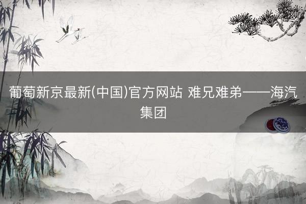 葡萄新京最新(中国)官方网站 难兄难弟——海汽集团
