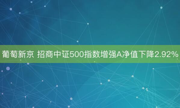 葡萄新京 招商中证500指数增强A净值下降2.92%