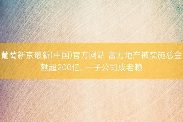 葡萄新京最新(中国)官方网站 富力地产被实施总金额超200亿, 一子公司成老赖