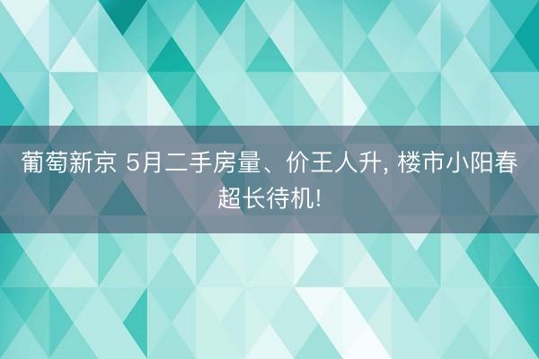 葡萄新京 5月二手房量、价王人升， 楼市小阳春超长待机!