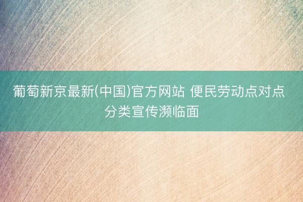 葡萄新京最新(中国)官方网站 便民劳动点对点 分类宣传濒临面
