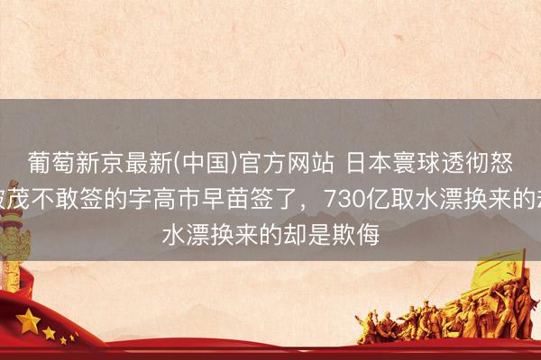 葡萄新京最新(中国)官方网站 日本寰球透彻怒了！石破茂不敢签的字高市早苗签了，730亿取水漂换来的却是欺侮