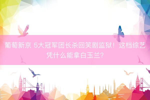 葡萄新京 5大冠军团长杀回笑剧监狱！这档综艺凭什么能拿白玉兰？