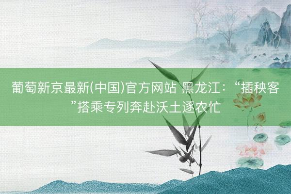 葡萄新京最新(中国)官方网站 黑龙江：“插秧客”搭乘专列奔赴沃土逐农忙