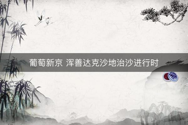 葡萄新京 浑善达克沙地治沙进行时