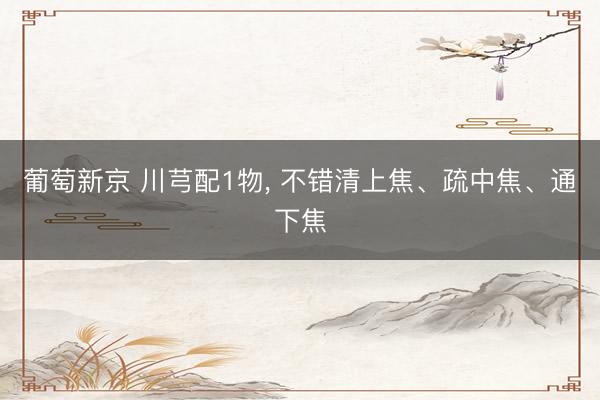 葡萄新京 川芎配1物， 不错清上焦、疏中焦、通下焦