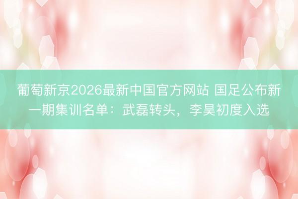 葡萄新京2026最新中国官方网站 国足公布新一期集训名单：武磊转头，李昊初度入选