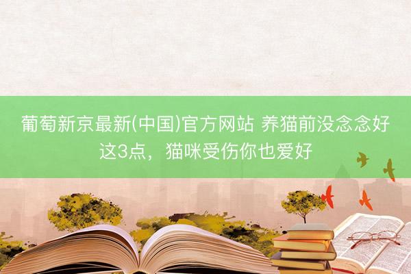 葡萄新京最新(中国)官方网站 养猫前没念念好这3点，猫咪受伤你也爱好