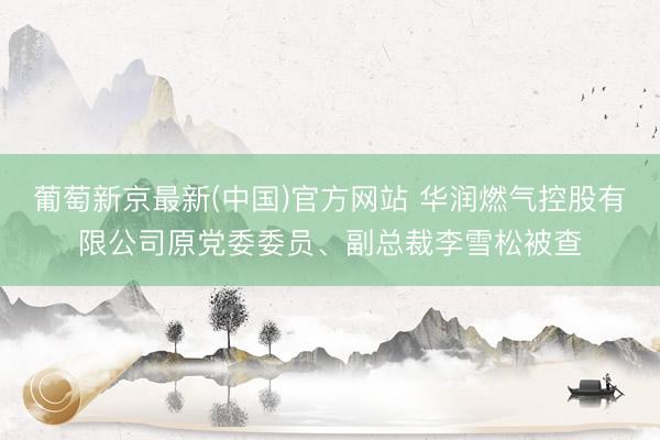 葡萄新京最新(中国)官方网站 华润燃气控股有限公司原党委委员、副总裁李雪松被查