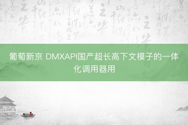 葡萄新京 DMXAPI国产超长高下文模子的一体化调用器用